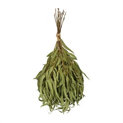 Эвкалиптовый веник Hot Pot 34152 - фото 16850055