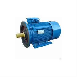 Электродвигатель 5АИ 180 М2 30/3000 IM 2001 - фото 16851452