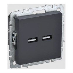 Розетка usb IEK Brite - фото 16857367
