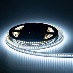 Лента светодиодная Elf ELF-960SMD2835NWw-Xtr36 - фото 16858007