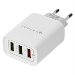 Сетевое зарядное устройство для iphone/ipad REXANT 16-0277 - фото 16860370