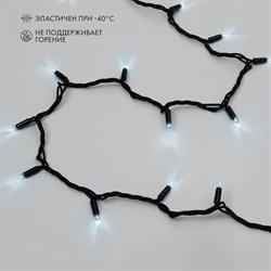 Гирлянда Neon-Night ДЮРАПЛЕЙ - фото 16861372