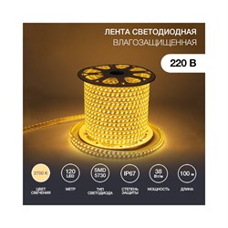 Светодиодная лента Neon-Night 142-704 - фото 16883765