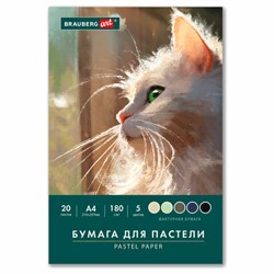 Бумага для пастели А4 в папке, 20 листов 5 цветов, 180 гр/м2, BRAUBERG ART CLASSIC, 116345 - фото 16900489