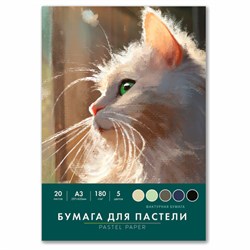 Бумага для пастели БОЛЬШАЯ А3 в папке, 20 листов 5 цветов, 180 гр/м2, BRAUBERG ART CLASSIC, 116346 - фото 16900490