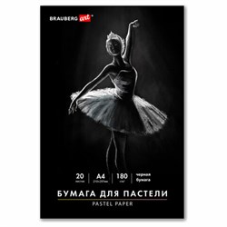 Бумага для пастели А4 в папке, 20 листов ЧЕРНАЯ, 180 гр/м2, BRAUBERG ART CLASSIC, 116347 - фото 16900491