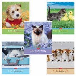 Тетрадь А5 48 л. HATBER скоба, клетка, обложка картон, "Усы, лапы, хвост" (5 видов в спайке), 48Т5В1 - фото 16900700