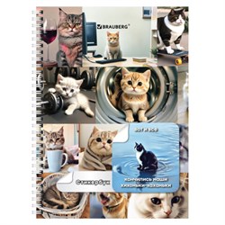 Стикербук ПРОСТО НАКЛЕЙ А6 16 листов 96 цветных стикеров, на гребне, BRAUBERG, Коты мемы, 666050 - фото 16900853