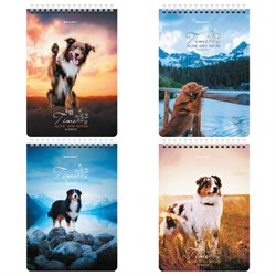 Блокнот А5 (146х206 мм), 80 л., гребень, картон, клетка, BRAUBERG, "Грациозные собаки", 114376 - фото 16912668