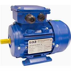 Электродвигатель ТМ БЭЗ АИР - фото 16918805