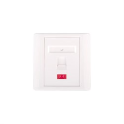 Настенная лицевая панель NETLAN EC-FP-1KJ-WT-10 - фото 16926732