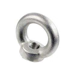 Рым-гайка Steelrex 0502010000W100000110 - фото 16951253