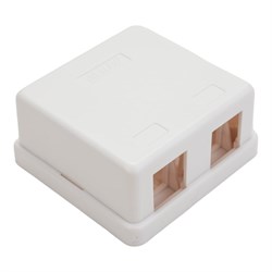 Корпус настенной розетки под 2 модуля Keystone NETLAN EC-UWO-2KJ-WT-10 - фото 16954232