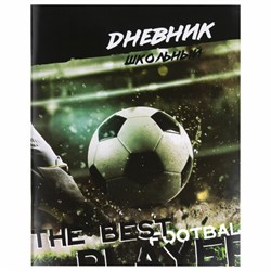 Дневник 1-11 класс 40 л., на скобе, ПИФАГОР, обложка картон, "Футбол", 106817 - фото 16959552