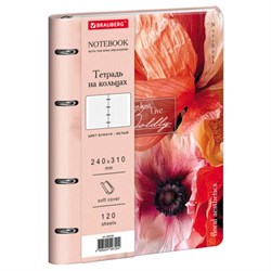 Тетрадь на кольцах БОЛЬШАЯ А4 240х310 120л, под кожу, BRAUBERG VISTA, Пейзаж, 405205 - фото 17000974