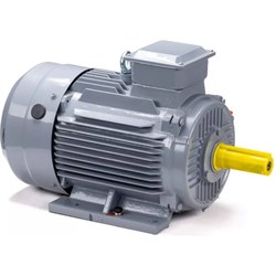 Общепромышленный электродвигатель ESQ PR 160 M4 GST-Б1-S12-IE2 - фото 17013721