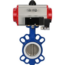 Затвор DN.ru wcb-316l-ptfe - фото 17016628