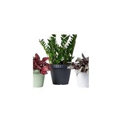 Кашпо Bama Spa ONDA - фото 17027359