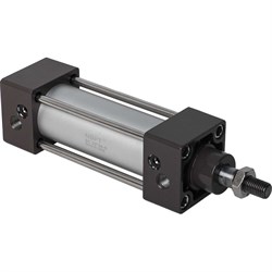 Пневмоцилиндр NBPT 81364 - фото 17033255