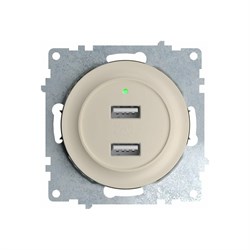 Двойная usb розетка OneKeyElectro 2260090 - фото 17049899