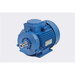 Электродвигатель МЭЗ У2-220/380-50IM1081-Р.К.В. К31Е-ААА IE1 Могилев АИР132S4 - фото 17052662
