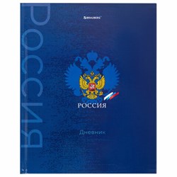 Дневник 5-11 класс 48 л., твердый, BRAUBERG, глянцевая ламинация, с подсказом, "Символика", 106878 - фото 17072314