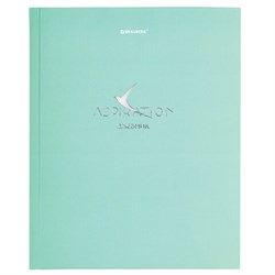 Дневник 5-11 класс 48 л., твердый, BRAUBERG, фольга, с подсказом, "Aspiration", 107199 - фото 17072345