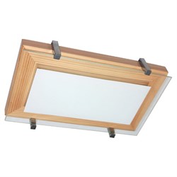 Светильник ЭЛЕТЕХ Полесье НББ 06-40 - фото 17075454