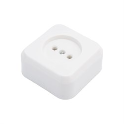 Штепсельная розетка ООО Ливны-Электро РА 10-007 - фото 17093377