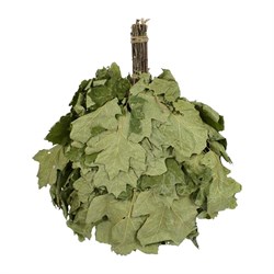 Веник Банные Штучки Богатырь - фото 17094866