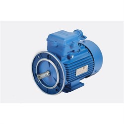 Электродвигатель МЭЗ 4ВР80В2 - фото 17101751