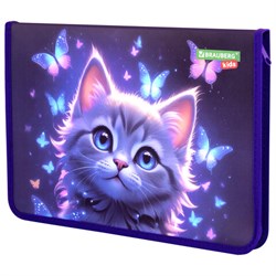 Папка для тетрадей BRAUBERG KIDS А4, 1 отделение, пластик, молния вокруг, "Curious cat", 273336 - фото 17137571