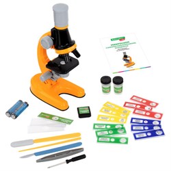 Микроскоп с подсветкой, 30 предметов, в т.ч. набор из 12 микропрепаратов в подарок, увеличение 100х, 400х, 1200х, BRAUBERG KIDS, 391400 - фото 17137629