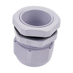 Сальник Stekker 49381 - фото 17158359