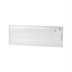 Аварийный постоянный светодиодный светильник ЭРА DPA301165 - фото 17249276