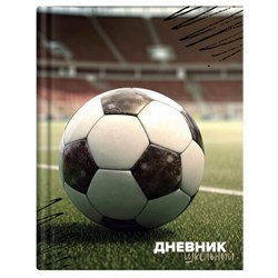 Дневник 1-4 класс 48 л., твердый, ЮНЛАНДИЯ, глянцевая ламинация, с подсказом, "Футбол", 107583 - фото 17262901
