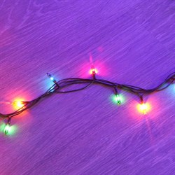 Гирлянда SHLights ES00050/2F - фото 17266698