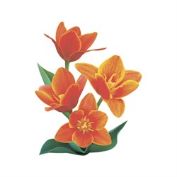 Тканевая шторка для ванны Melodia della vita Оранжевое настроение - фото 17288624