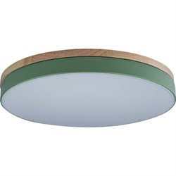 Накладной светильник LOFT IT Axel - фото 17290423