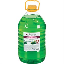 Жидкое мыло МЕЛОДИЯ 606986 - фото 17299477