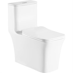 Напольный безободковый унитаз-моноблок Azario GRESSA AZ-1111 - фото 17299953