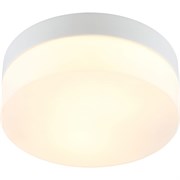 Потолочный светильник Arte Lamp A6047PL-1WH