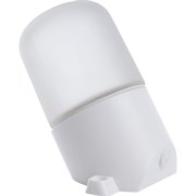 Накладной наклонный светильник для бани и сауны FERON НББ 01-60-002