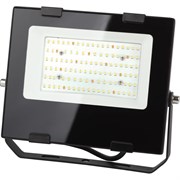 Прожектор для цветения и плодоношения ЭРА FITO50WRa90LED