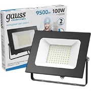 Светодиодный прожектор GAUSS LED 100W IP65 6500К