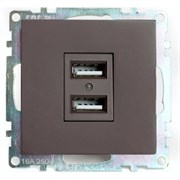 2-местная USB розетка Stekker R GLS10-7115-04 серия Катрин