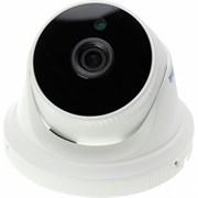 Купольная камера видеонаблюдения PS-link IP305P