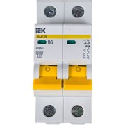 Автоматический выключатель IEK ВА47-29