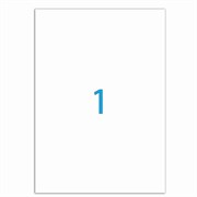 Этикетка самоклеящаяся 210х297 мм, 1 этикетка, белая, 70 г/м2, 50 листов, LOMOND, 2100005