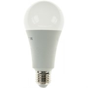 Лампа Jazzway PLED-SP A65